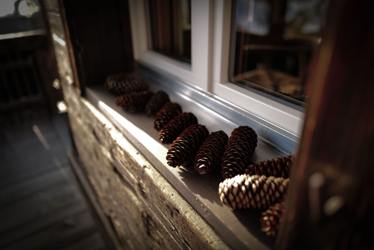 Pine cones lined up on a sun-drenched window sill